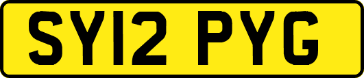 SY12PYG
