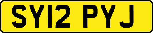 SY12PYJ