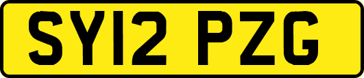 SY12PZG