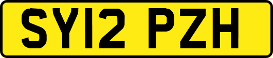 SY12PZH