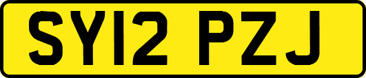 SY12PZJ