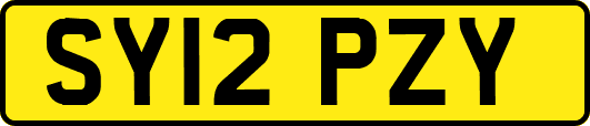 SY12PZY