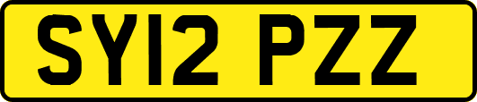 SY12PZZ