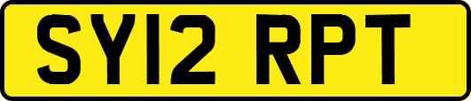 SY12RPT