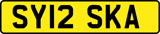 SY12SKA