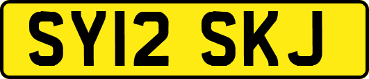 SY12SKJ