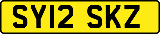 SY12SKZ