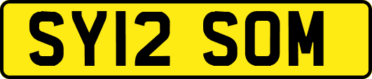SY12SOM