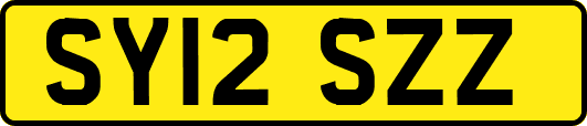 SY12SZZ