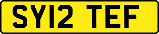 SY12TEF
