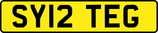 SY12TEG