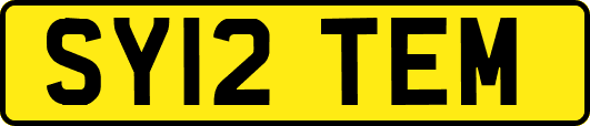 SY12TEM