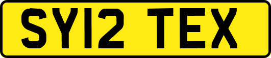 SY12TEX