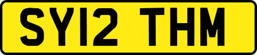 SY12THM