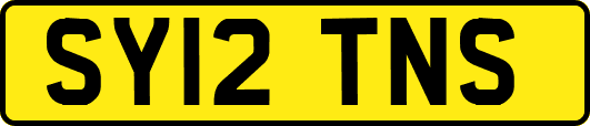 SY12TNS
