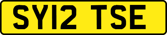 SY12TSE