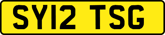 SY12TSG