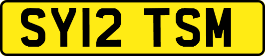 SY12TSM