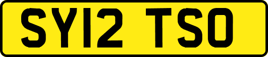 SY12TSO