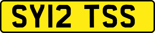 SY12TSS