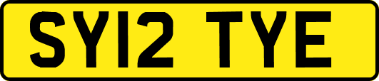 SY12TYE