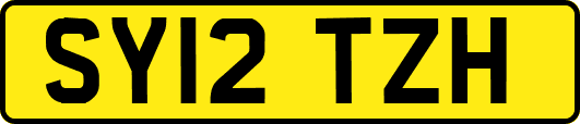 SY12TZH