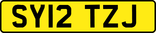 SY12TZJ