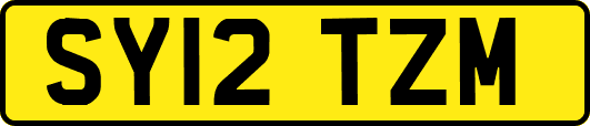 SY12TZM