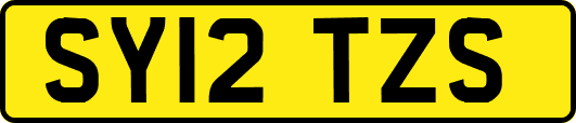SY12TZS