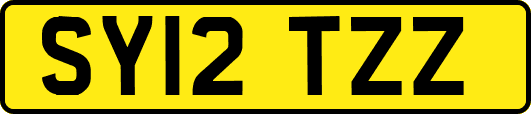 SY12TZZ
