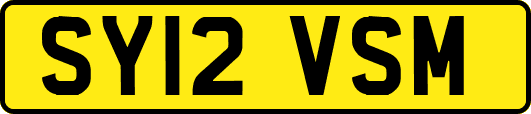 SY12VSM
