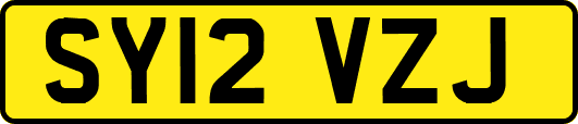 SY12VZJ