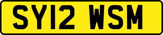 SY12WSM