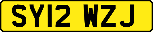 SY12WZJ