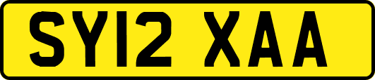 SY12XAA