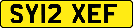 SY12XEF