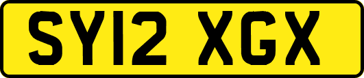 SY12XGX