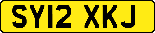 SY12XKJ