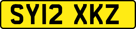 SY12XKZ