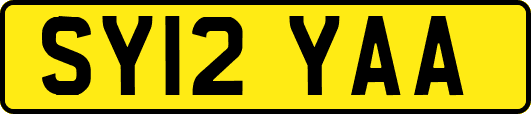SY12YAA