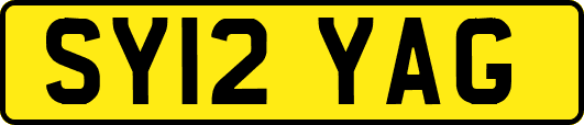 SY12YAG