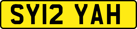 SY12YAH