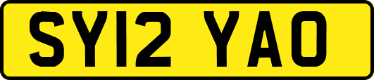 SY12YAO
