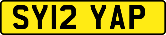 SY12YAP
