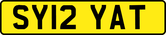 SY12YAT