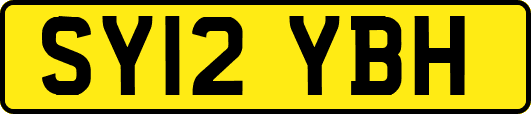 SY12YBH