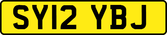 SY12YBJ