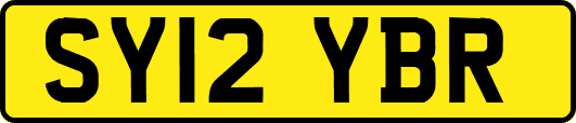 SY12YBR