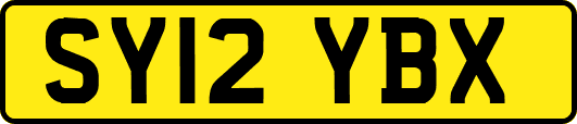 SY12YBX
