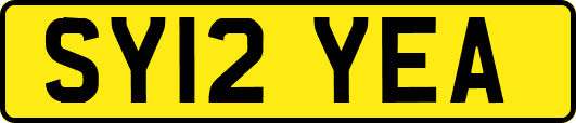 SY12YEA